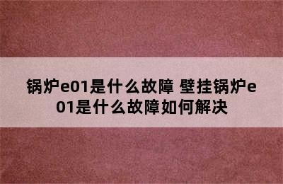 锅炉e01是什么故障 壁挂锅炉e01是什么故障如何解决